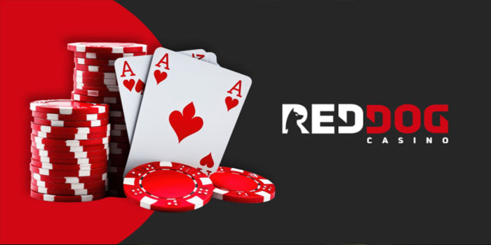 Token4D – Strategi Terbaik Bermain Red Dog Dijamin Ampuh